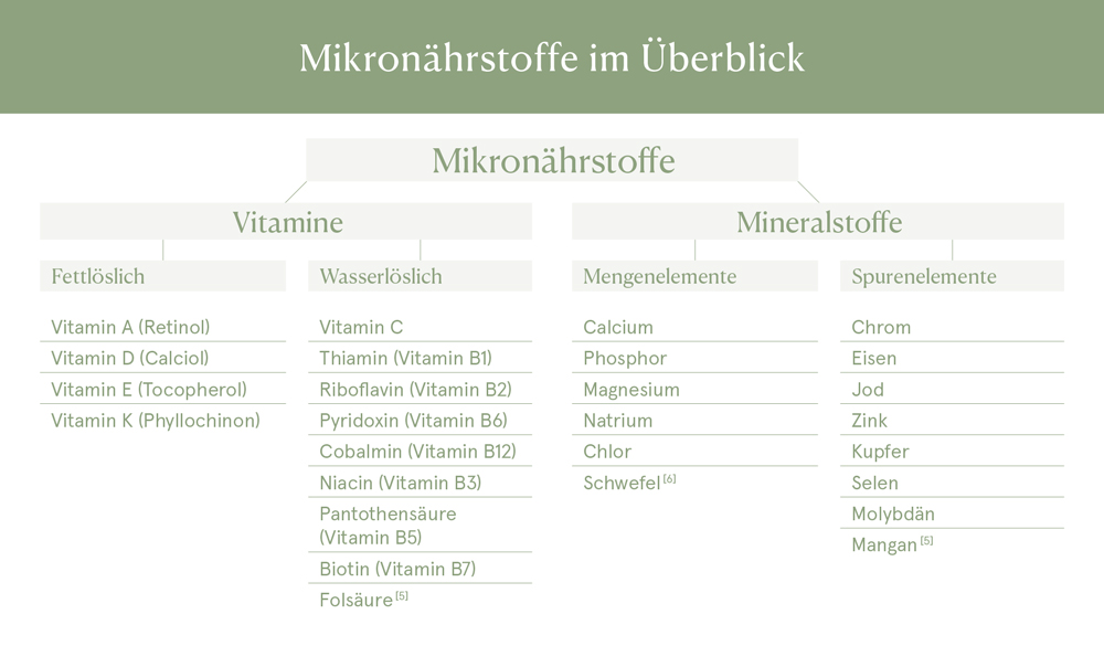 Informationsangebot mikroco-wissen.de des BfR bietet Orientierung über  Vitamine, Mineralstoffe und Co.: IN FORM